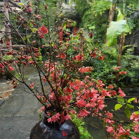 Wuyuan Qiye Yanxiang Guesthouse 외부 사진