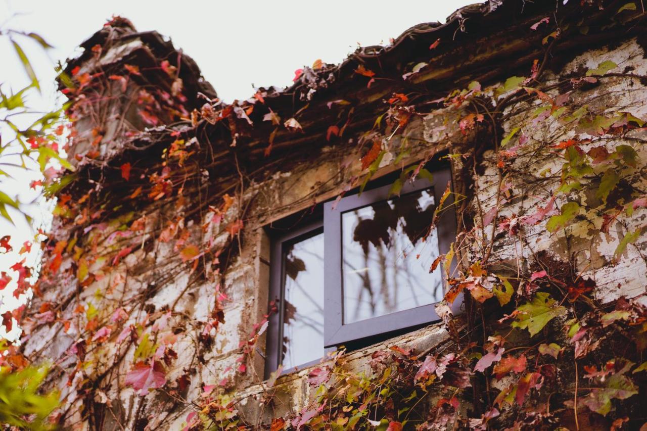 Wuyuan Qiye Yanxiang Guesthouse 외부 사진